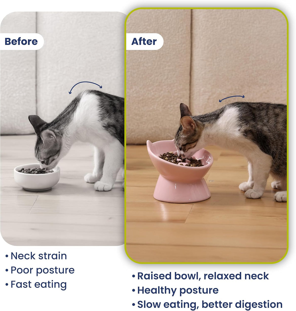 Lynx Ceramic Raised Slow Dog & Cat Elevated Food Bowl, Quartz Pink