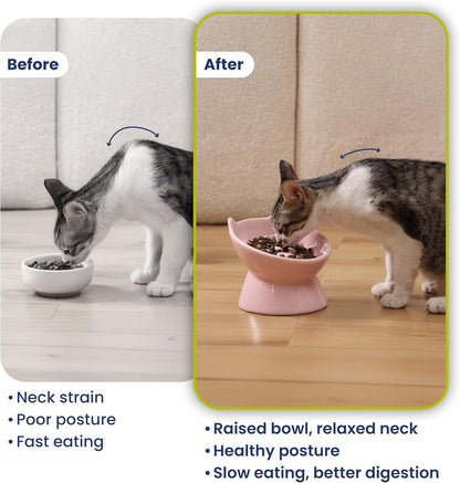 Lynx Ceramic Raised Slow Dog & Cat Elevated Food Bowl, Quartz Pink