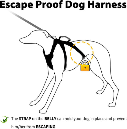 Escape Proof Dog Harness, No Pull Reflective Harness with Lift Handle, Adjustable Pet Vest with Front and Back Leash Clips for Small Medium Large Dogs Walking Hiking Training (Pink,L)