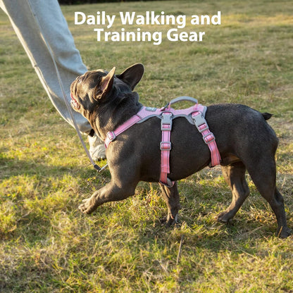 Escape Proof Dog Harness, No Pull Reflective Harness with Lift Handle, Adjustable Pet Vest with Front and Back Leash Clips for Small Medium Large Dogs Walking Hiking Training (Pink,L)