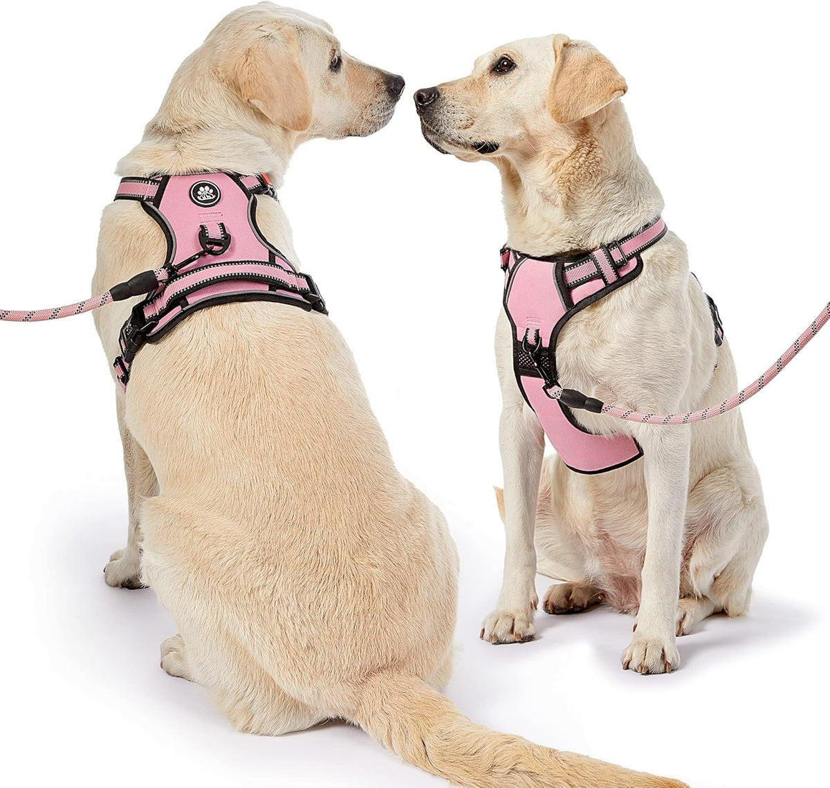 Dog Harness for Small Sized Dog,No Pull Dog Vest Harness Set