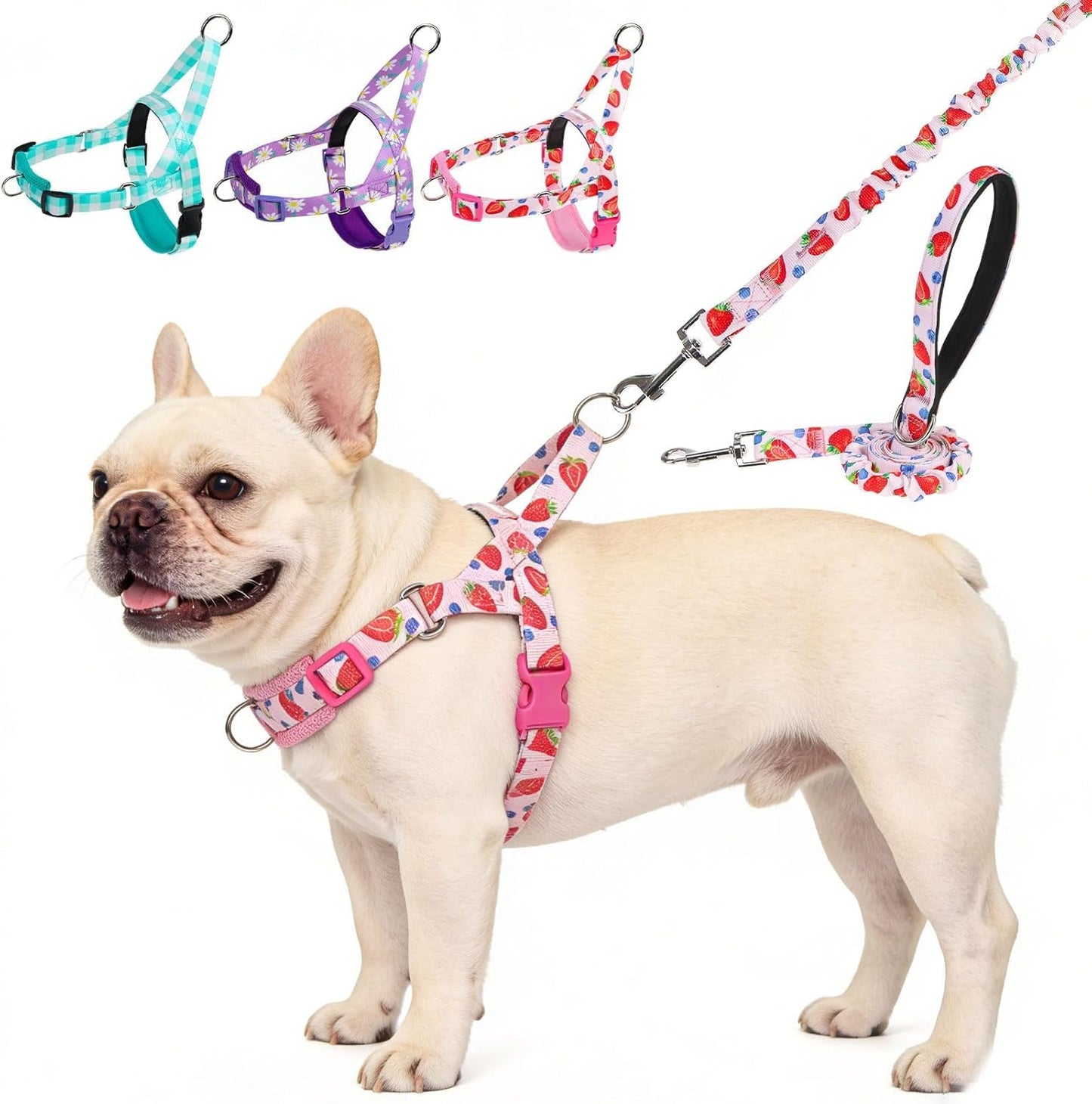 No Pull Small Dog Harness and Leash Set, Adjustable Soft Breathable Mesh Puppy Vest with Padded, Quick Fit Escape Proof Walking Harness Easy Control Handle for Small Medium Dogs Strawberry