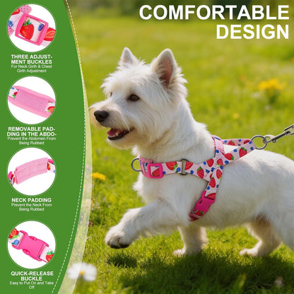 No Pull Small Dog Harness and Leash Set, Adjustable Soft Breathable Mesh Puppy Vest with Padded, Quick Fit Escape Proof Walking Harness Easy Control Handle for Small Medium Dogs Strawberry