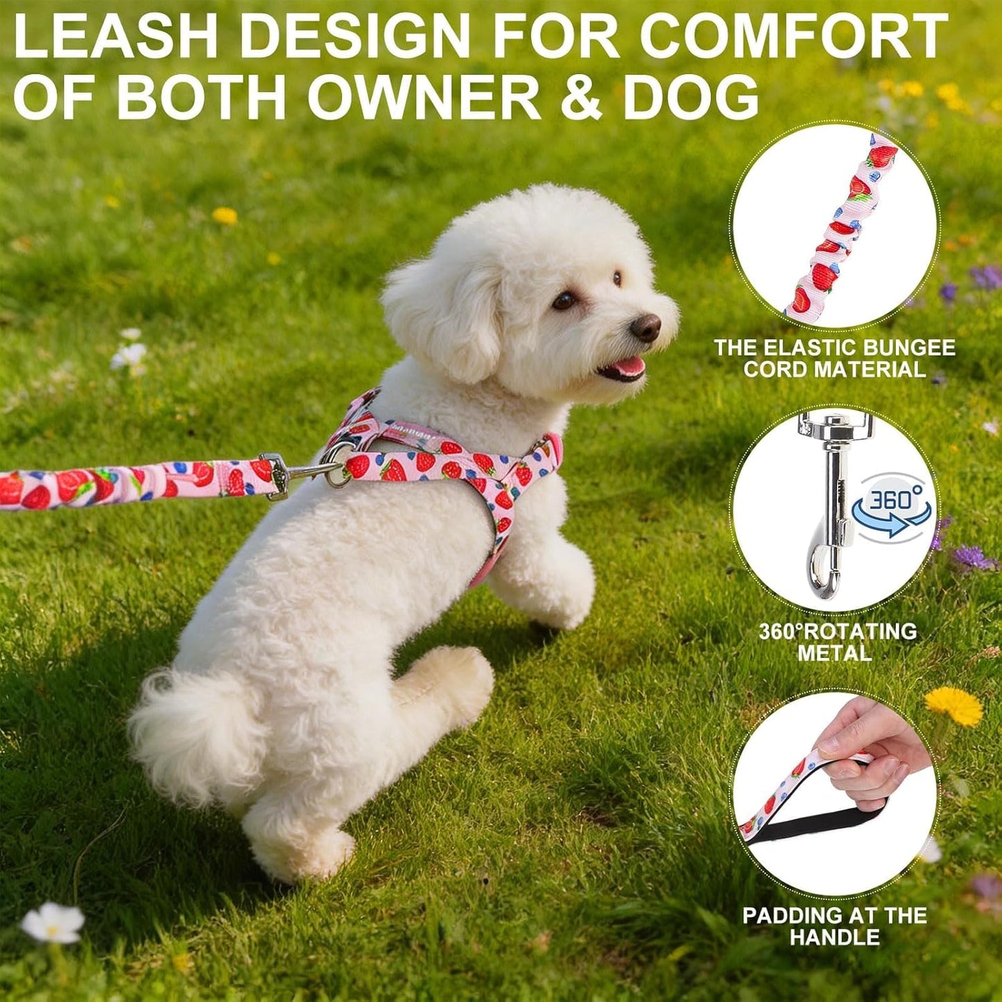 No Pull Small Dog Harness and Leash Set, Adjustable Soft Breathable Mesh Puppy Vest with Padded, Quick Fit Escape Proof Walking Harness Easy Control Handle for Small Medium Dogs Strawberry