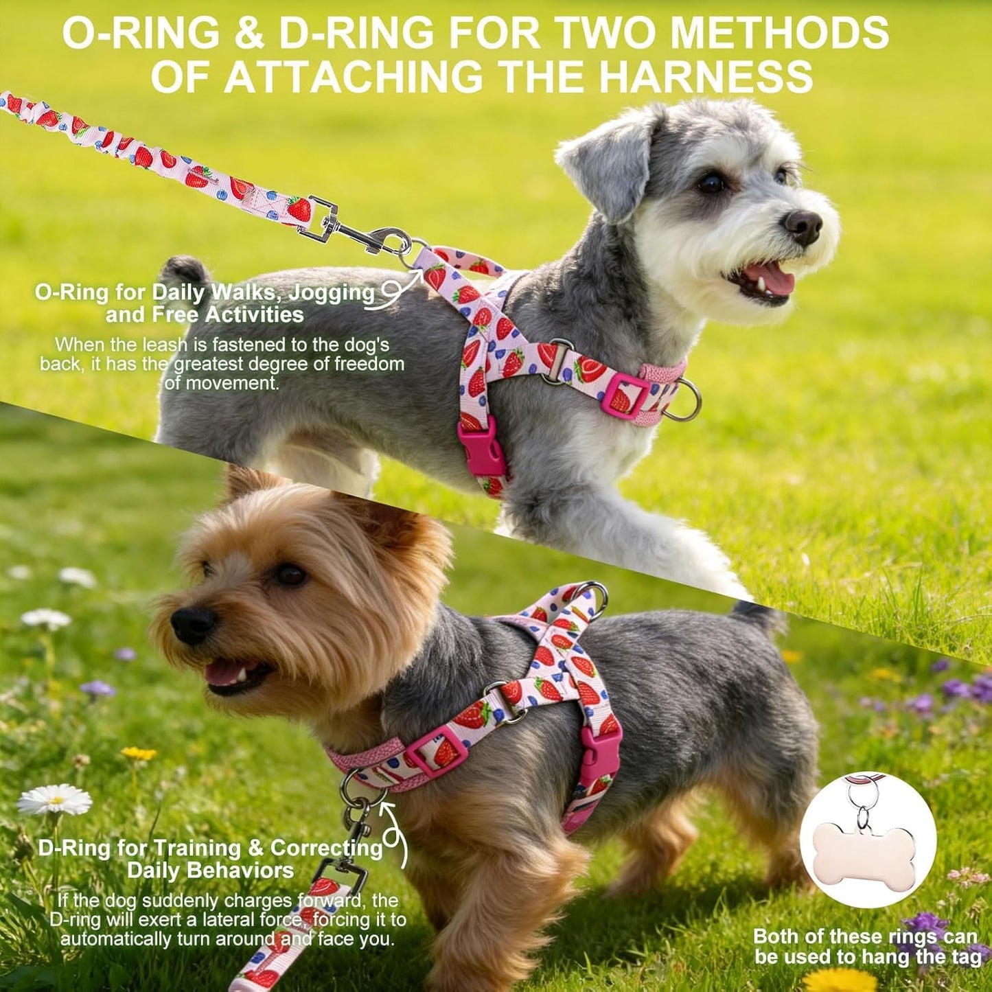 No Pull Small Dog Harness and Leash Set, Adjustable Soft Breathable Mesh Puppy Vest with Padded, Quick Fit Escape Proof Walking Harness Easy Control Handle for Small Medium Dogs Strawberry