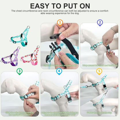 No Pull Small Dog Harness and Leash Set, Adjustable Soft Breathable Mesh Puppy Vest with Padded, Quick Fit Escape Proof Walking Harness Easy Control Handle for Small Medium Dogs Strawberry