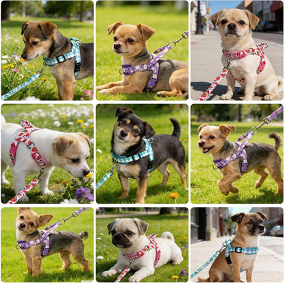 No Pull Small Dog Harness and Leash Set, Adjustable Soft Breathable Mesh Puppy Vest with Padded, Quick Fit Escape Proof Walking Harness Easy Control Handle for Small Medium Dogs Strawberry