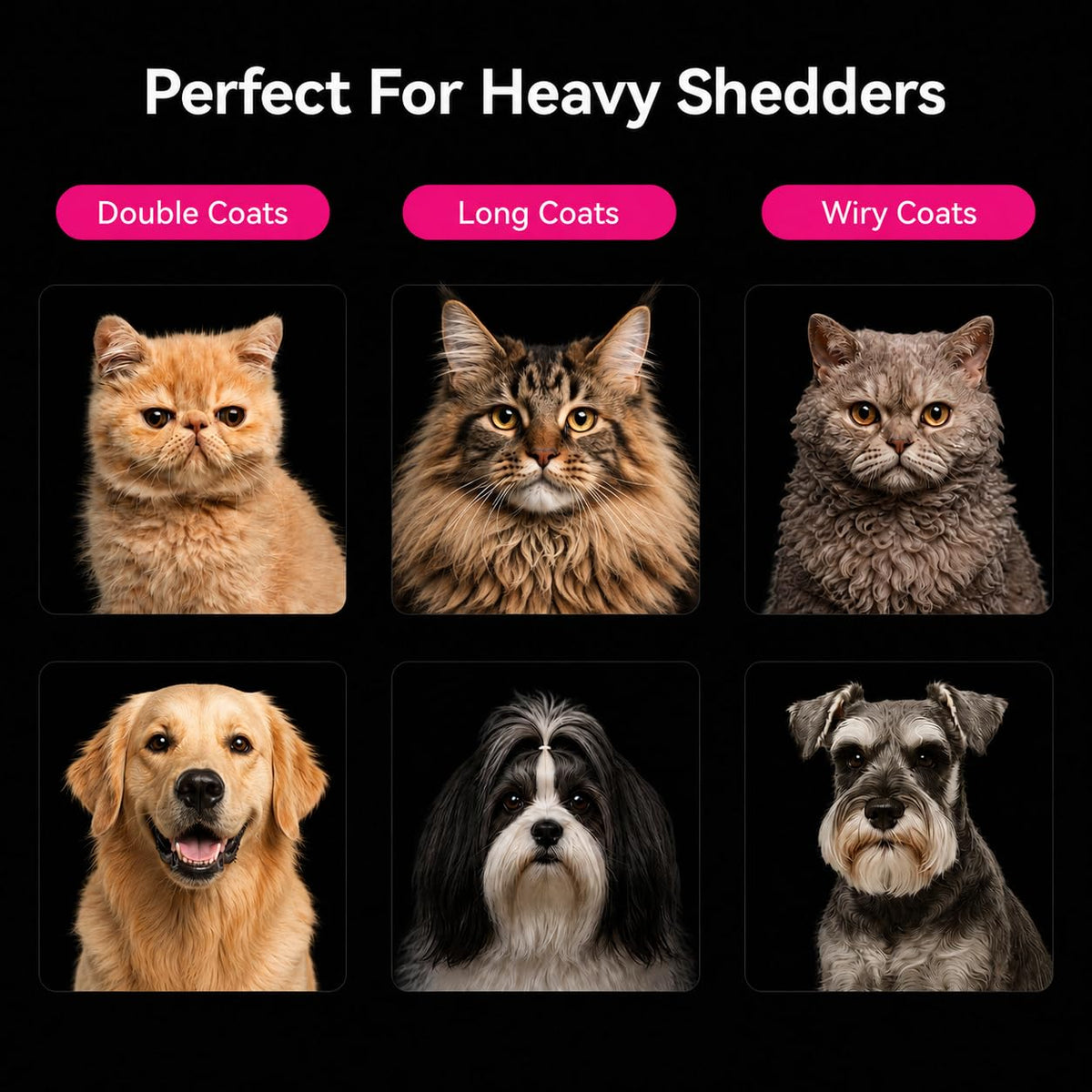 Undercoat Rake for Dogs, Deshedding & Dematting Comb for Cats, Horse