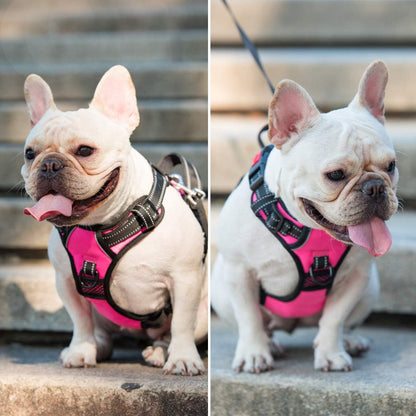No Pull Dog Harness Medium with Front Clip & Neck Release Buckle
