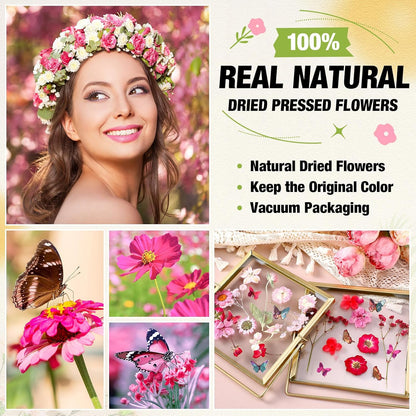 160 Pcs Pressed Dried Flowers Natural Bulk, Rosy, Pink