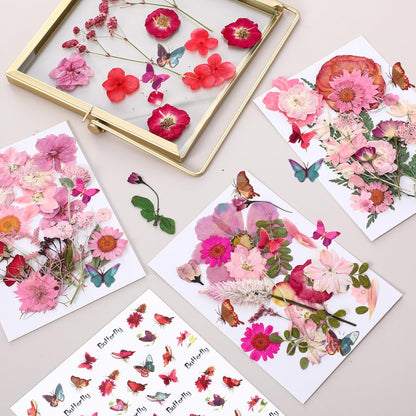 160 Pcs Pressed Dried Flowers Natural Bulk, Rosy, Pink