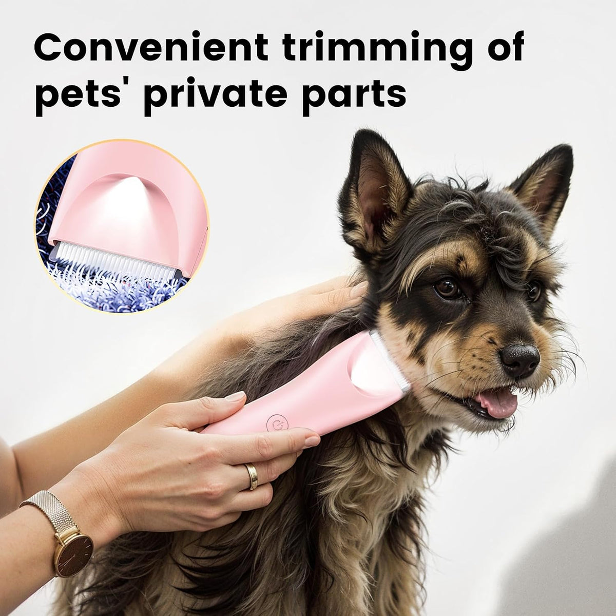 Dog Clippers with LED Light