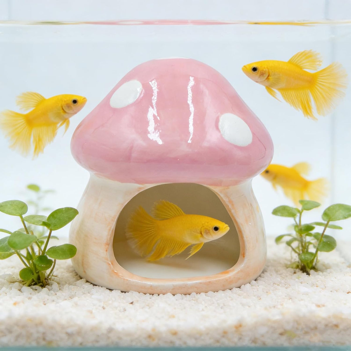Ceramic Fish Tank Ornament & Hiding Cave, Aquarium Shelter Decor, Cute Mushroom House Style for Betta Fish, Goldfish, Shrimp, Hermit Crab and Reptiles (Pink)