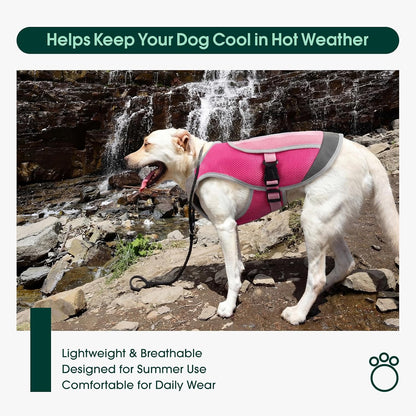 Dog Cooling Vest, Reflective Cooling Jacket for Dogs, Large, Pink