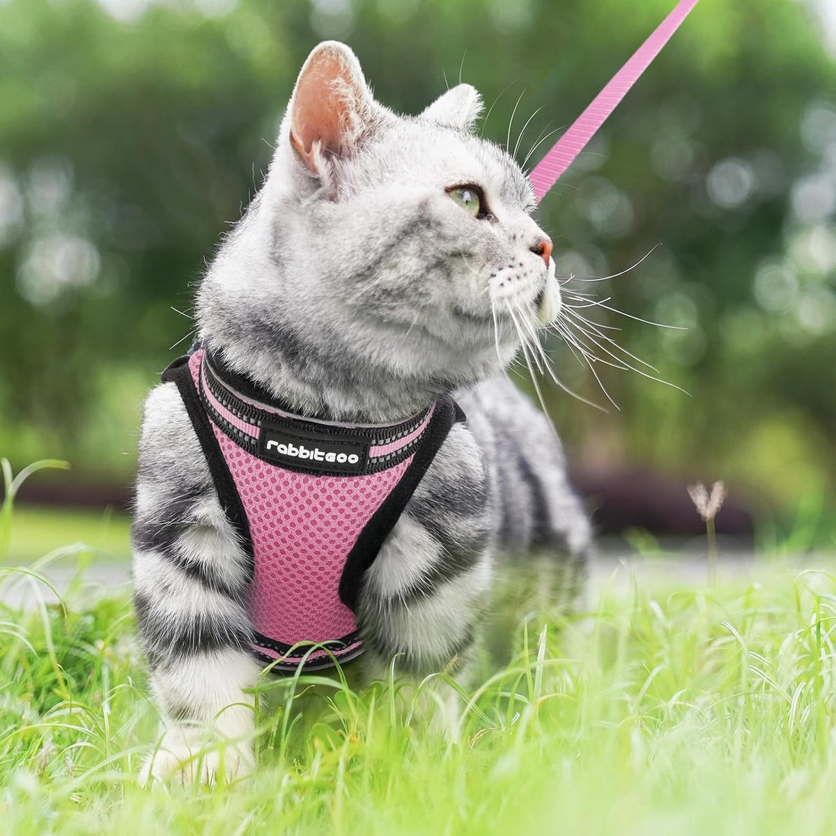 Cat Harness and Leash Set, Step-in Soft Vest, Pink