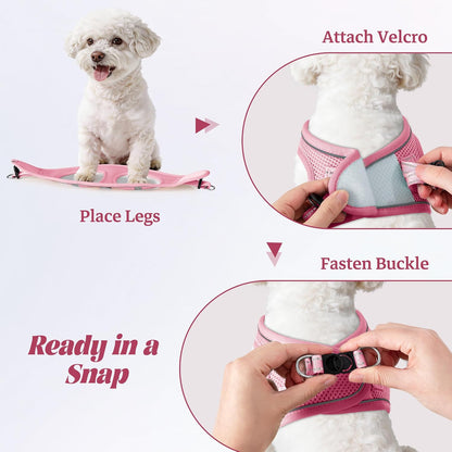 No Pull Dog Puppy Harness and Leash Set Reflective Mesh Vest X-Small