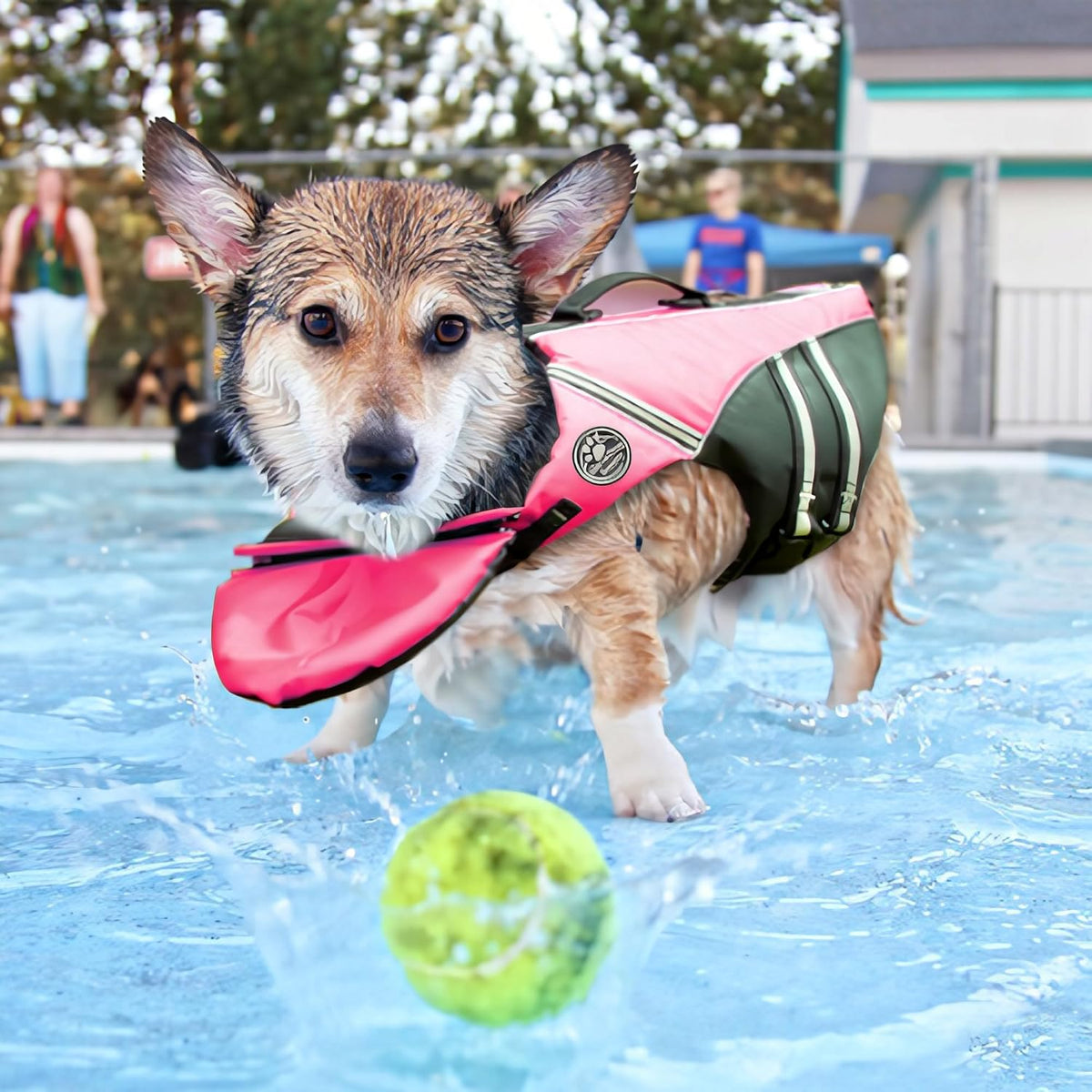 Dog Life Jacket, Reflective Dog Life Vest with Removable Neck Float High Buoyancy for Swimming and Boating, Ripstop Pet Safety Swimsuit Rescue Handle for Small Medium Large Dogs