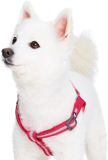 Essentials Step-in Reflective Back to Basics Dog Harness, French Pink, Chest Girth 20" - 26", Medium, Adjustable Harnesses for Dogs