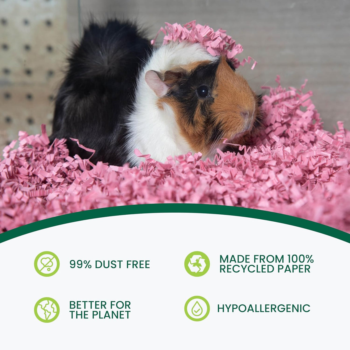 ECO BEDDING FiberCore, 99% Dust Free Paper Bedding for Small Pets and Birds, 10 lb. (Expands to 250 L), Pink Bulk Box