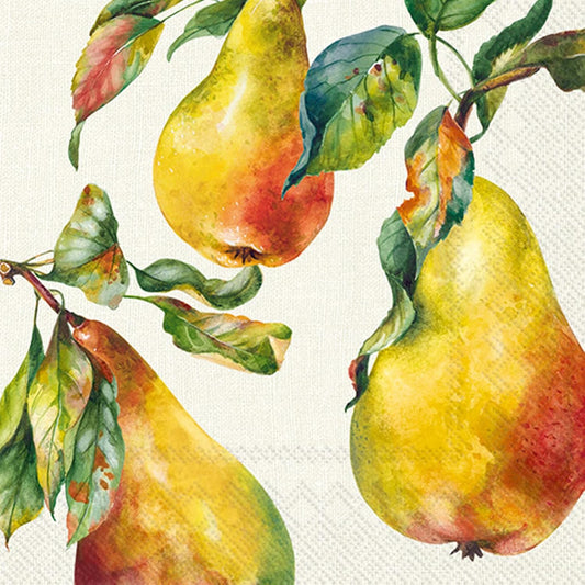 IHR Ideal Home Range Party Napkins Disposable 3-Ply Paper Lunch Napkin Pack, 6.5" x 6.5", Home Grown Pears, 20-Count