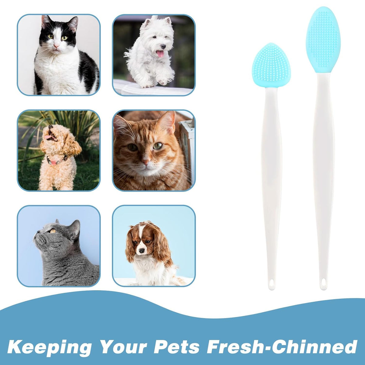 6 Pcs Cat Acne Chin Treatment Cat Acne Brush Set Black Seed Exfoliating Brush Silicone Double-Sided Grooming Brushes Cats Grooming Essentials for Chinacne and Cleaning Blackhead Exfoliation