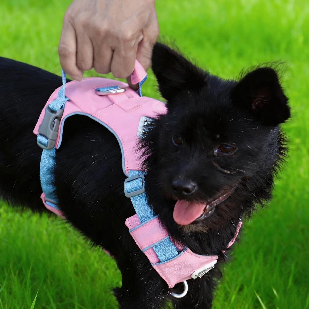 Airtag Lightweight Pink Dog Harness-No Pull with Handle for Small Sized Dog