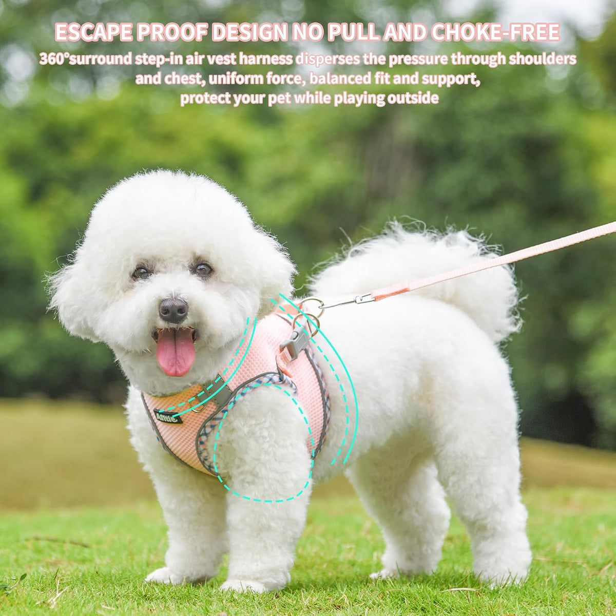 AIITLE Tiny Dog Harness and Leash Set, Step-in Vest for Puppy, Pink XXXS