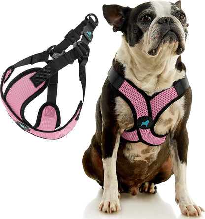 Comfort X Step-in Lite Harness, Choke-Free, Pink, Small
