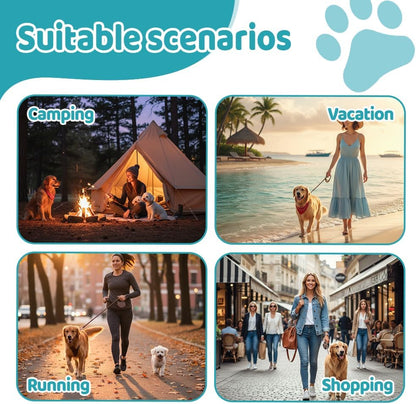 Portable Pet Water Bottle, 285ml/10 Oz Stainless Steel Compact Dog Drinking Bottles Leak Proof Cat Travel Water Bottles with Foldable Silicone Bowl for Outdoor Walking Hiking