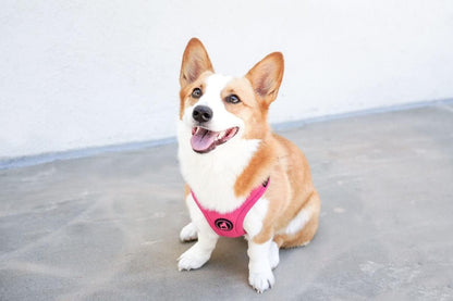 Escape Free Sport Dog Harness, Choke-Free, Pink, Large