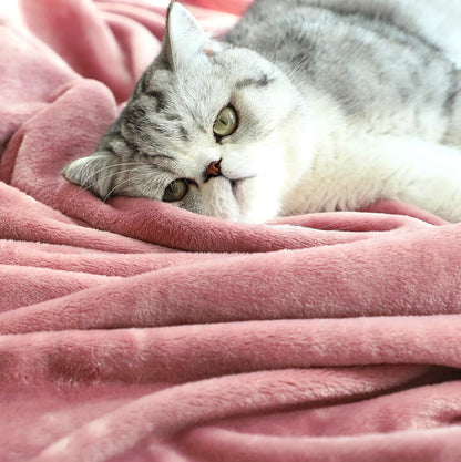 Large Flannel Fleece Throw Blanket, 50×70 Inch