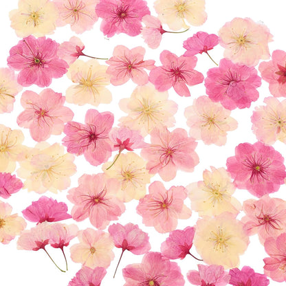 48Pcs Natural Dried Pressed Flowers for Cake Topper Decorating Mix Real Dry Flower for Resin Jewelry Making DIY Art Crafts