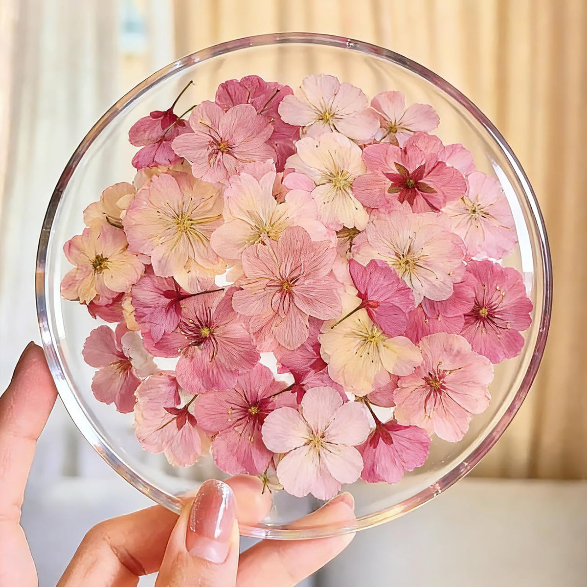 48Pcs Natural Dried Pressed Flowers for Cake Topper Decorating Mix Real Dry Flower for Resin Jewelry Making DIY Art Crafts