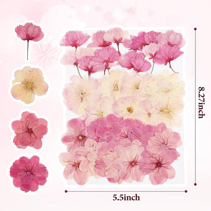 48Pcs Natural Dried Pressed Flowers for Cake Topper Decorating Mix Real Dry Flower for Resin Jewelry Making DIY Art Crafts