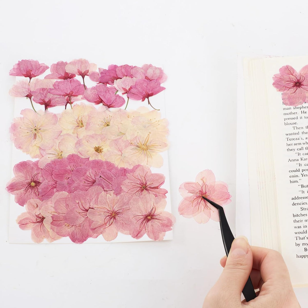 48Pcs Natural Dried Pressed Flowers for Cake Topper Decorating Mix Real Dry Flower for Resin Jewelry Making DIY Art Crafts