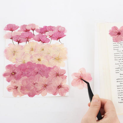 48Pcs Natural Dried Pressed Flowers for Cake Topper Decorating Mix Real Dry Flower for Resin Jewelry Making DIY Art Crafts