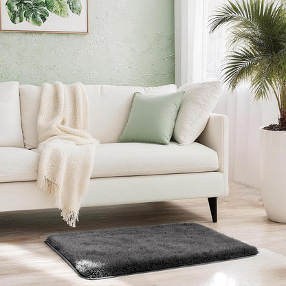 Shag Grey Small Rug 2x3 Area Rugs for Bedroom Dorm Bedside Living Room, Non-Slip Ultra Fluffy Soft Area Rugs for Entry, Kids Room, Study, Office, Playroom, Modern Small Carpet Décor