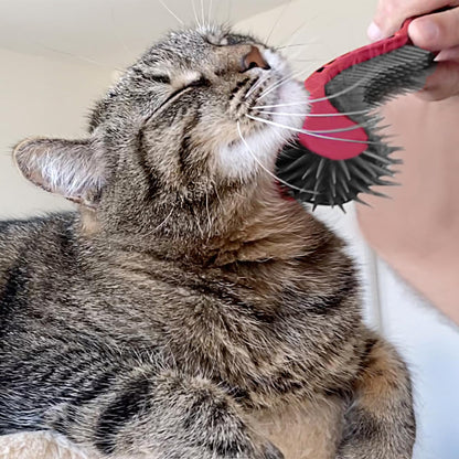 Cat Brush, Pink. Designed for Comfort, Created for Cats and Dogs. Ergonomic shape promotes stress free grooming. Great for long to short haired cats. Made in the USA