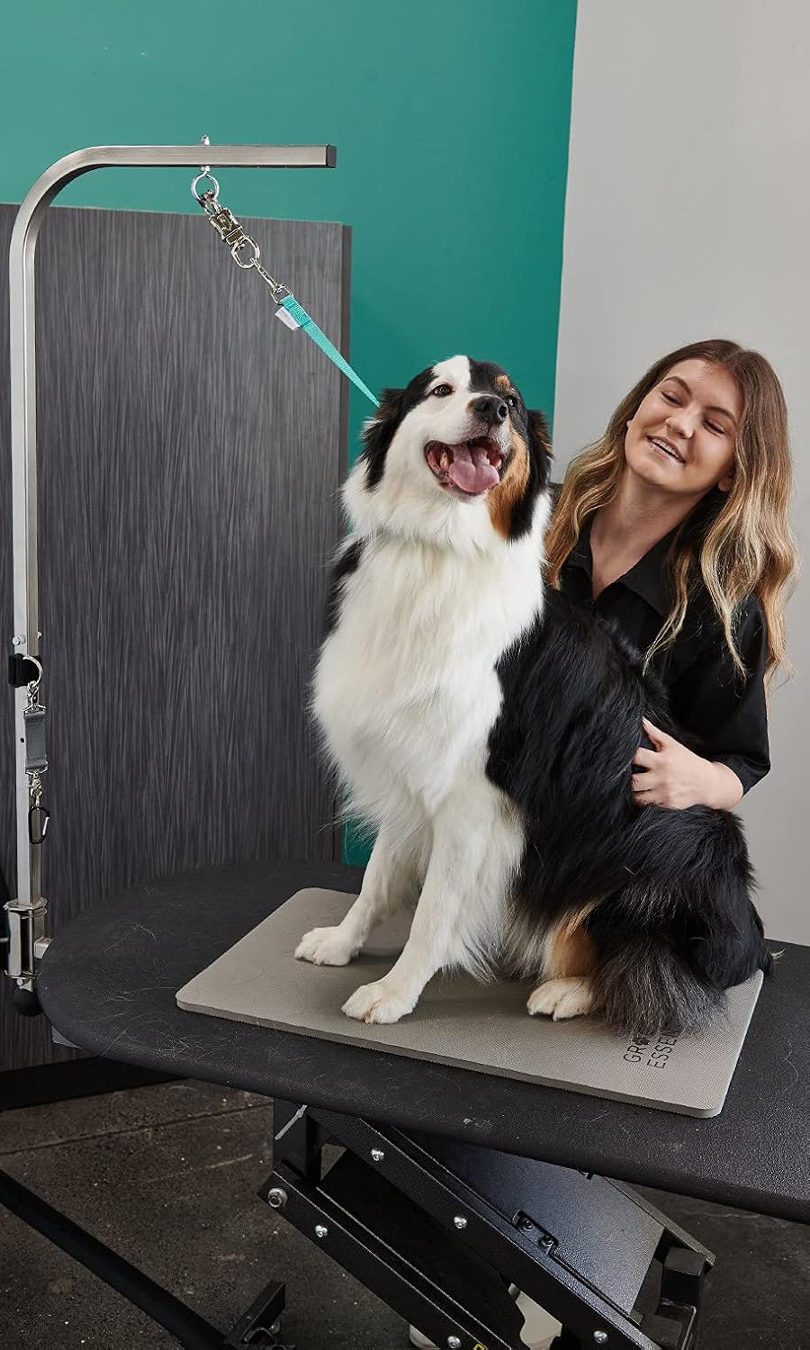GROOMER ESSENTIALS 22" Grooming Loops in Turquoise - Secure and Stylish Restraints for Pet Grooming - Set of Essential Tools for Professional and Home Grooming