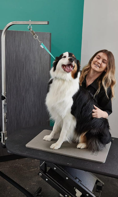 GROOMER ESSENTIALS 22" Grooming Loops in Turquoise - Secure and Stylish Restraints for Pet Grooming - Set of Essential Tools for Professional and Home Grooming