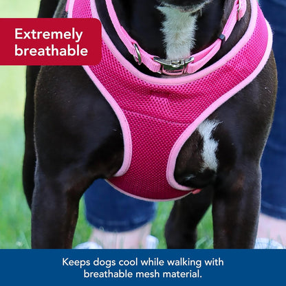 Comfort Soft Wrap Adjustable Dog Harness - Comfortable Harness for Dog - Adjustable Fit - Easy Step-in Design - Breathable Fabric Mesh - Pink Bright, 3/8" x 11"-13"