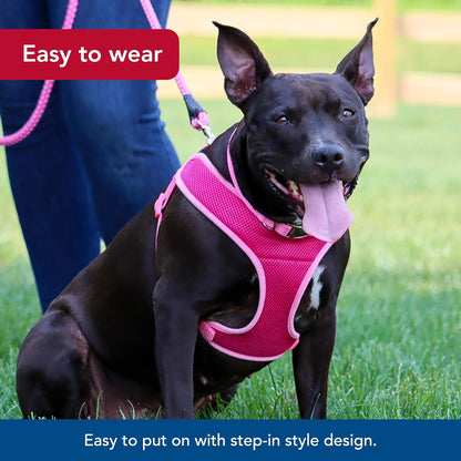 Comfort Soft Wrap Adjustable Dog Harness - Comfortable Harness for Dog - Adjustable Fit - Easy Step-in Design - Breathable Fabric Mesh - Pink Bright, 3/8" x 11"-13"