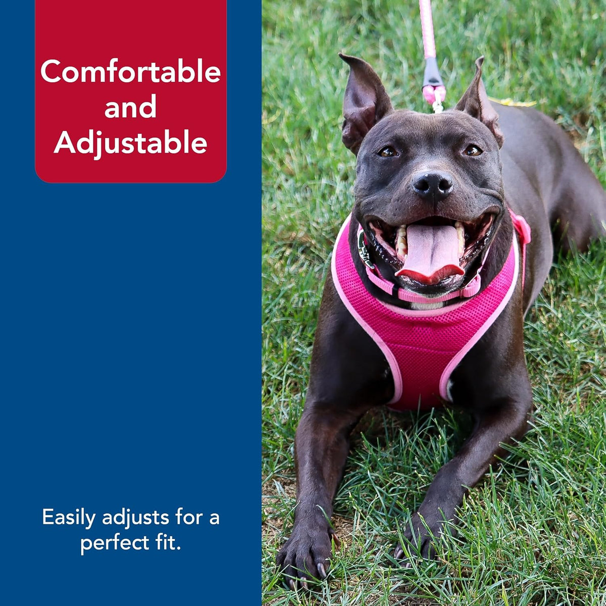 Comfort Soft Wrap Adjustable Dog Harness - Comfortable Harness for Dog - Adjustable Fit - Easy Step-in Design - Breathable Fabric Mesh - Pink Bright, 3/8" x 11"-13"