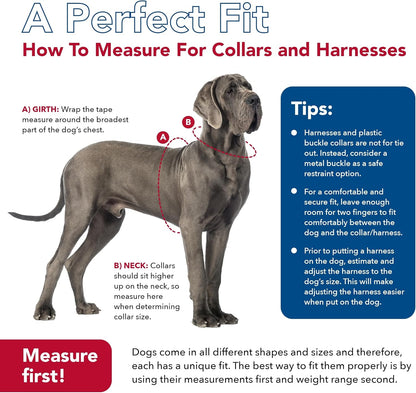 Comfort Soft Wrap Adjustable Dog Harness - Comfortable Harness for Dog - Adjustable Fit - Easy Step-in Design - Breathable Fabric Mesh - Pink Bright, 3/8" x 11"-13"
