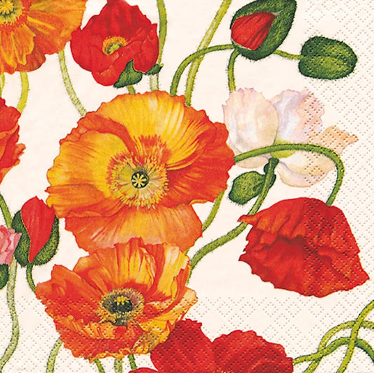 IHR Ideal Home Range Party Napkins Disposable 3-Ply Paper Lunch Napkin Pack, 6.5" x 6.5", Poppies White, 20-Count