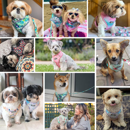 Soft & Comfy Spring Scent Inspired Floral Rose Baby Pink Dog Harness Vest, Chest Girth 13" - 16", X-Small, Adjustable Harnesses for Dogs