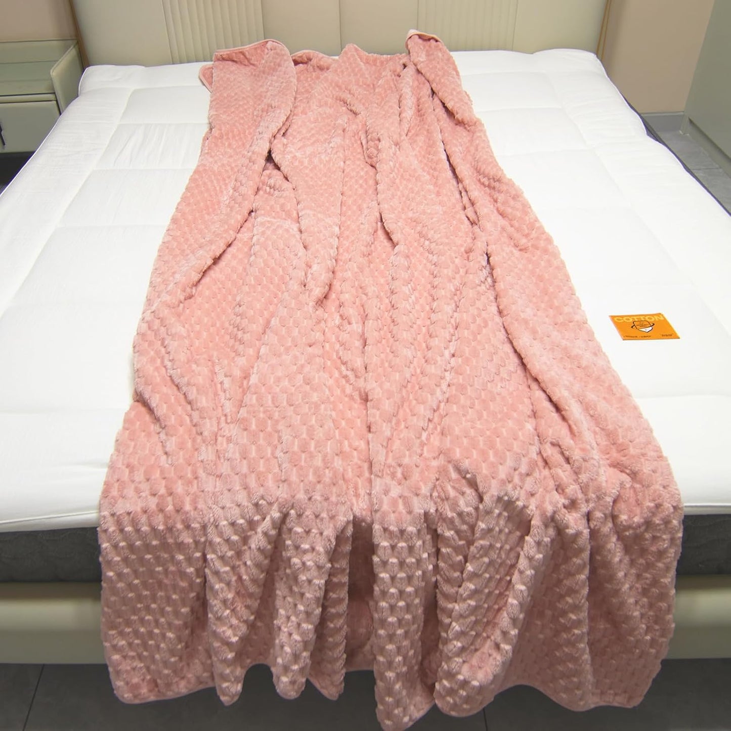 Ahinahwap Water Resistant Blanket for Bed Couch Sofa, 60"x80" Reversible & Washable Microfiber Blanket, Queen Size Waterproof Throw, Pet Friendly & Leakproof (Peachy Pink/Peach Cream)