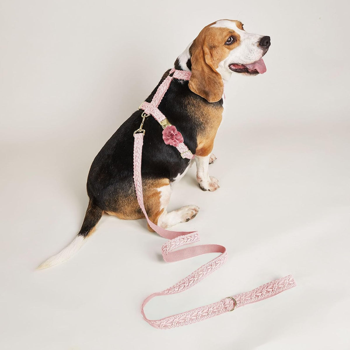 Large Dog Harness and Leash Set, Adjustable No Pull Pet Halter Harness with Flower & Metal Buckle, Easy Control for Training Walking, Pink,L