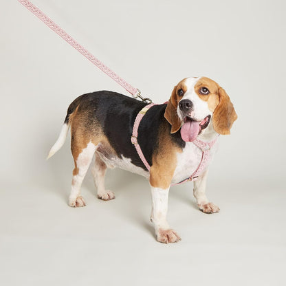 Large Dog Harness and Leash Set, Adjustable No Pull Pet Halter Harness with Flower & Metal Buckle, Easy Control for Training Walking, Pink,L