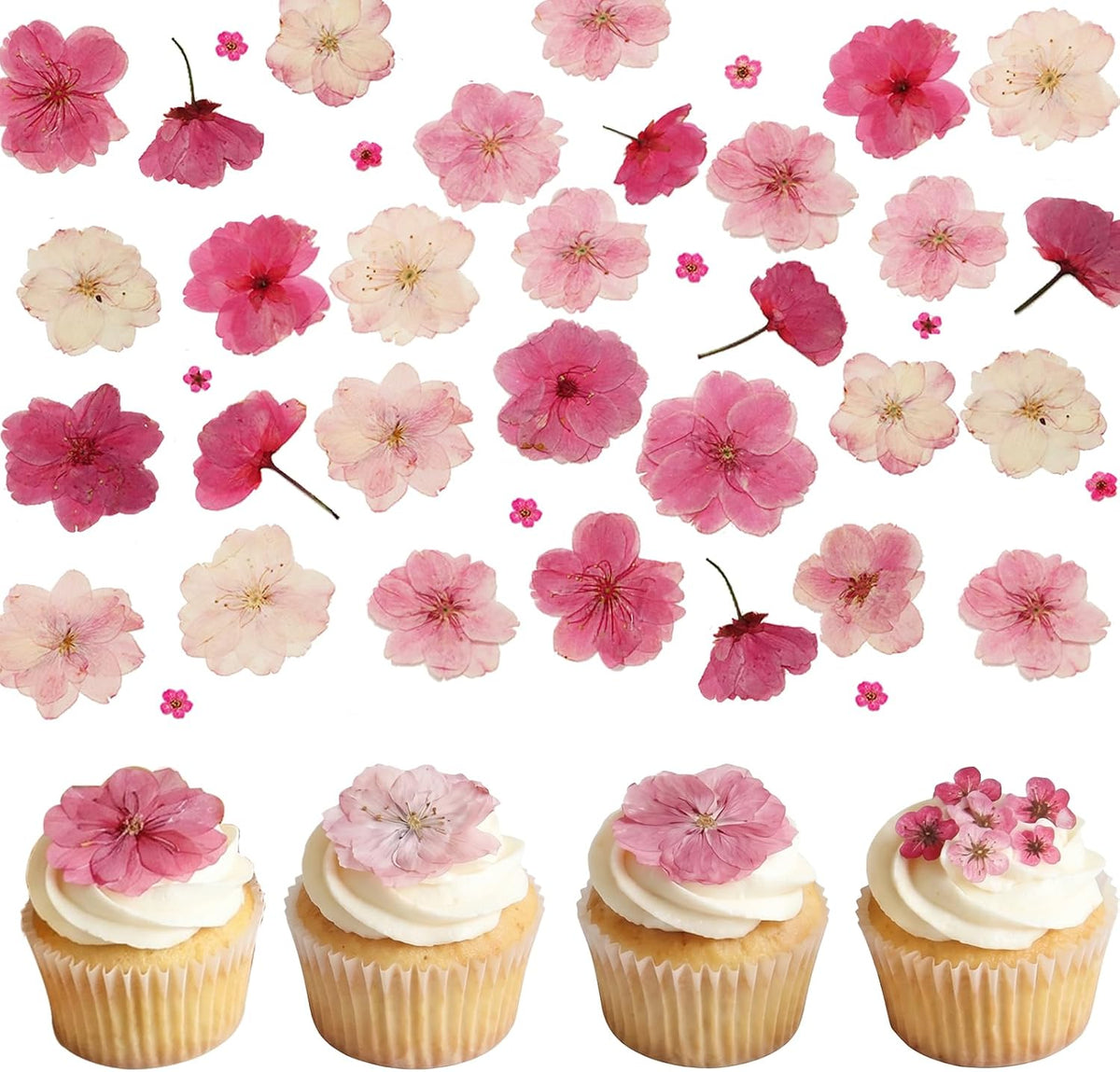 50 Pcs Pink Dried Pressed Flowers Cake Decorations Cherry Blossoms Flowers for Dessert Table Birthday Bridal Wedding Baby in Bloom Baby Shower Party Décor